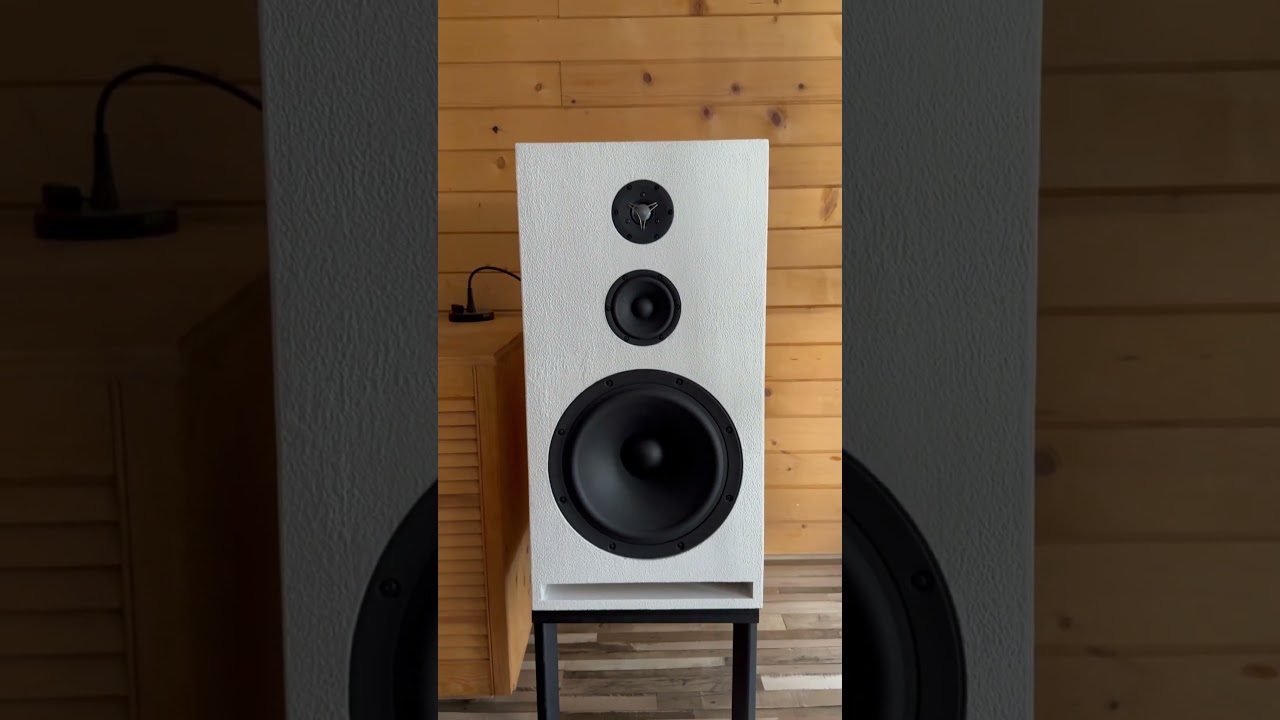 SB Acoustics  + Hiraga Le Monstre amplifier