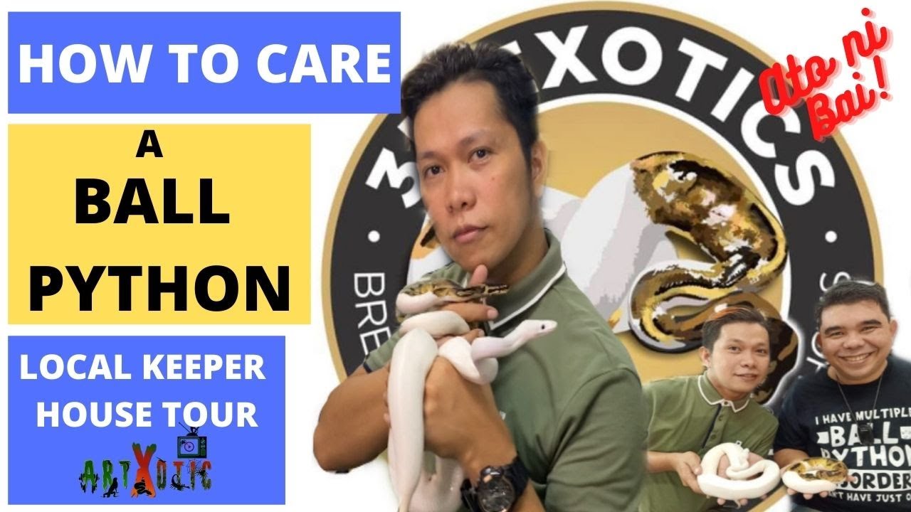 HOW TO CARE FOR A BALL PYTHON: LOCAL KEEPER HOUSE TOUR TIPS AND GUIDE