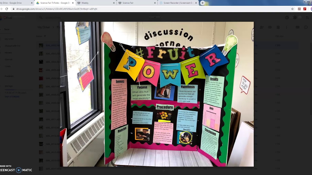 Science Fair Tri Fold Examples