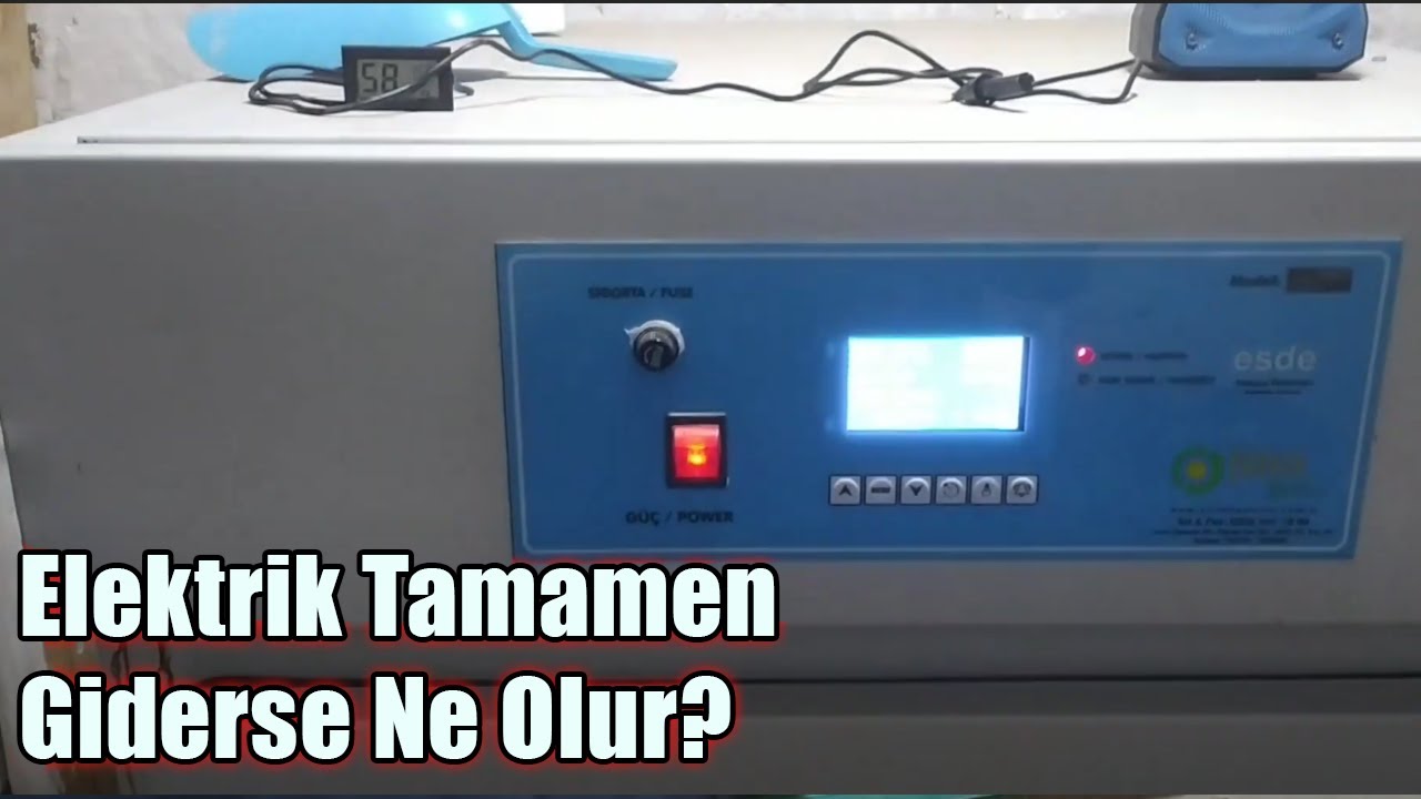 KULUÇKA MAKİNASI ÇALISIRKEN ELEKTİRİK GİDİNCE NE YAPILMALI/ KEKLİKLERİMİZ GELDİ