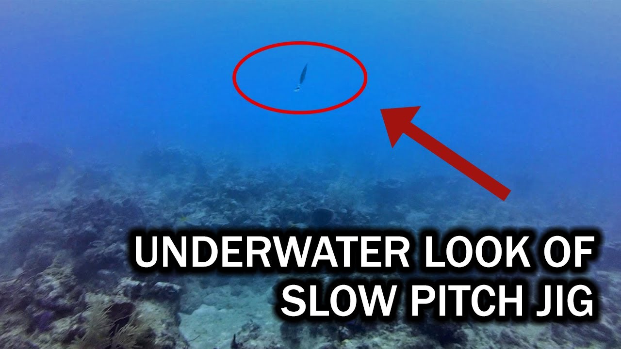 Underwater Look at Slow Pitch Jig