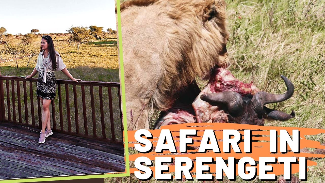 2 days SAFARI in SERENGETI, Tanzania | Acacia Seronera Lodge