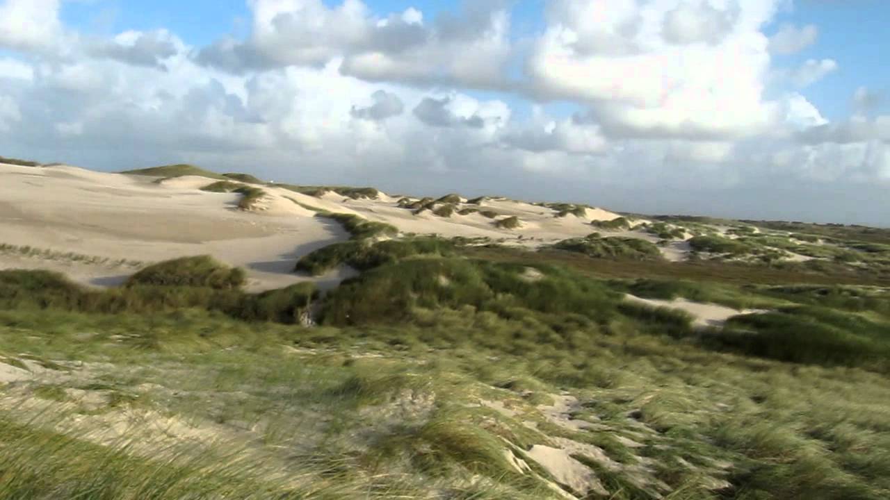 traumlandschaft