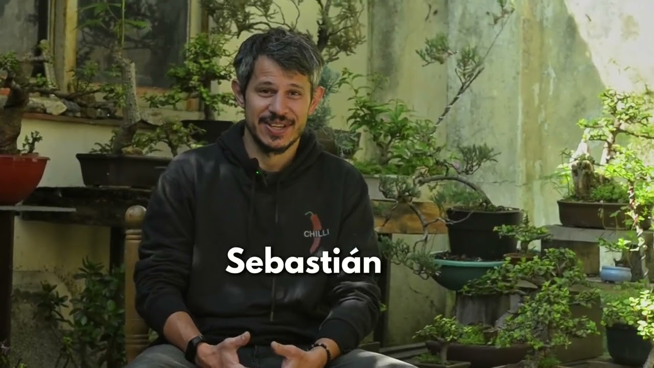 &iquest;Te gustar&iacute;a aprender bonsai desde cero?