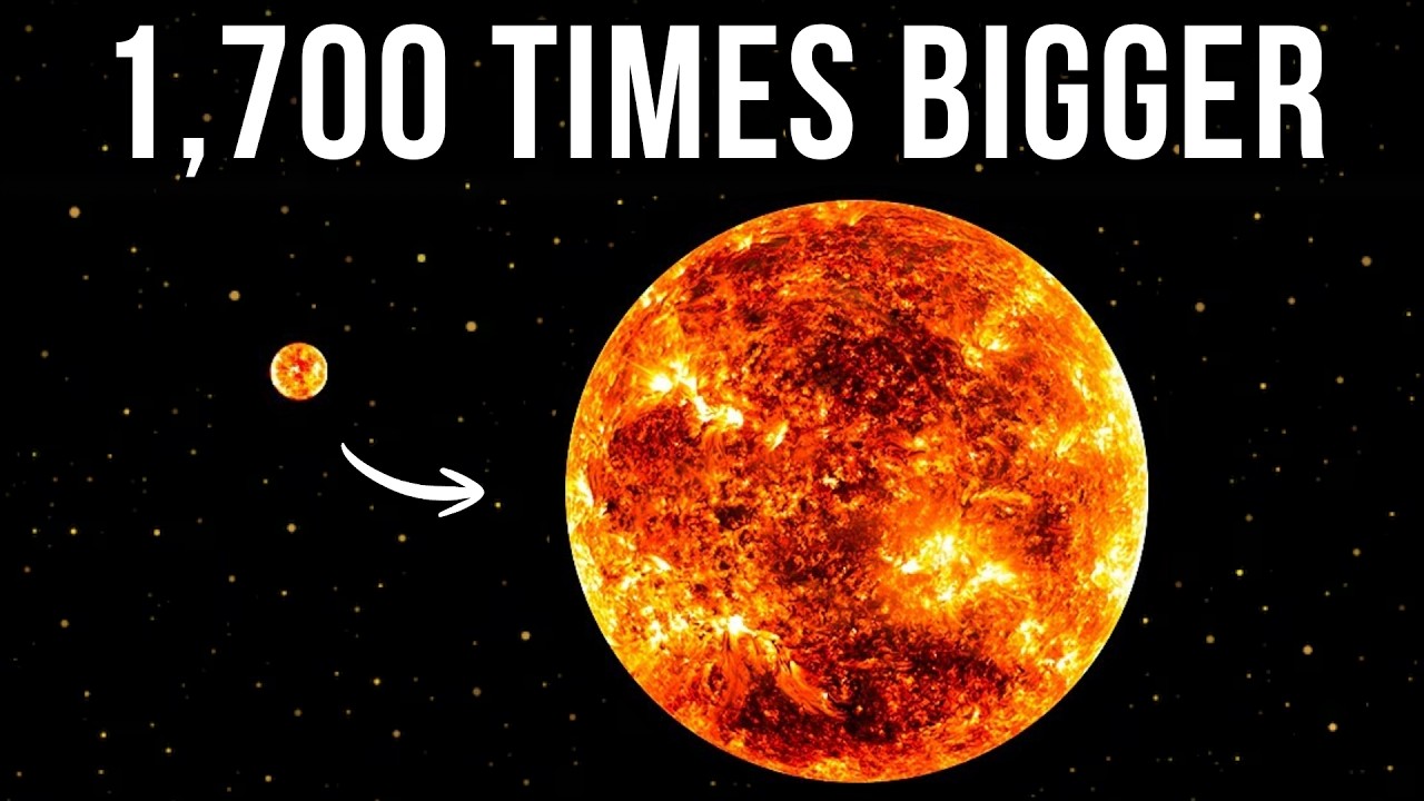 This Star Makes Our Sun Look Like a Dot... Fall Asleep Exploring VY Canis Majoris