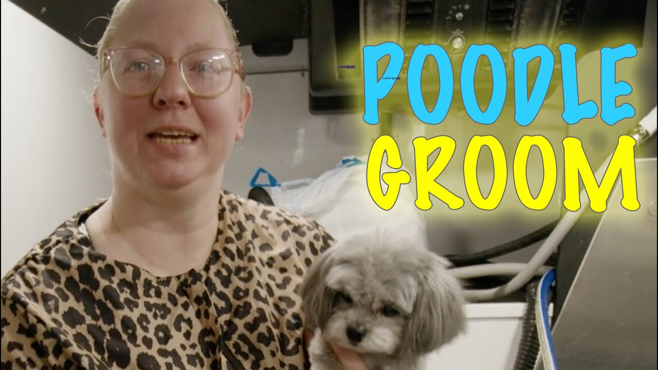 How To Groom a Lhasa Apso / Poodle Mix