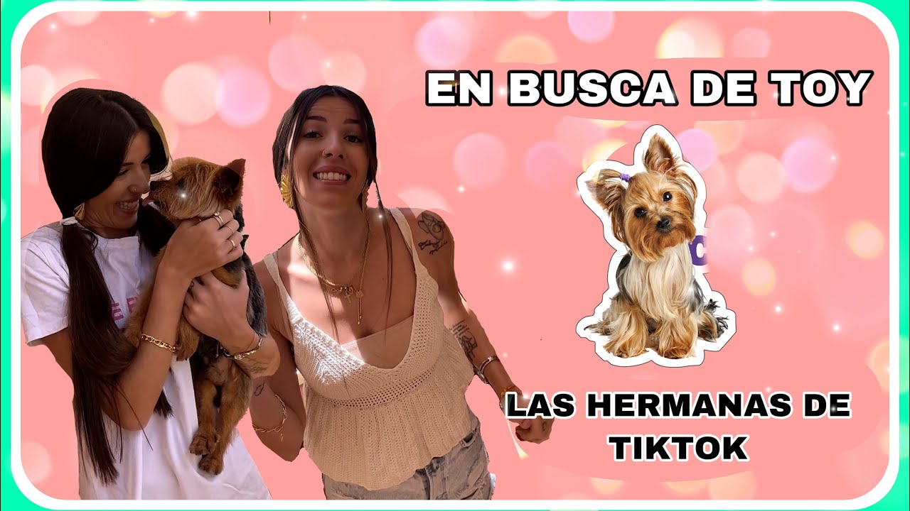 EN BUSCA DE TOY(las hermanas de tiktok)