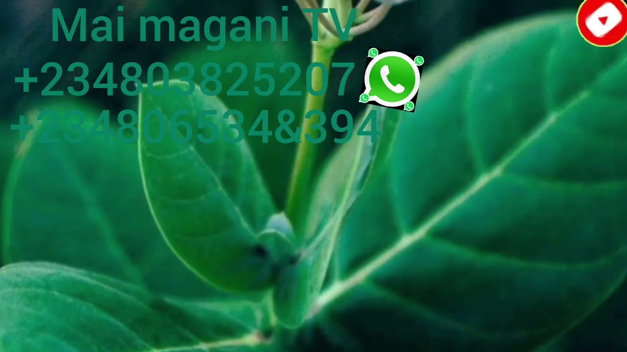 Zaka samu arziki ta ko wane hali mutukar kayi wanan sirrin 
