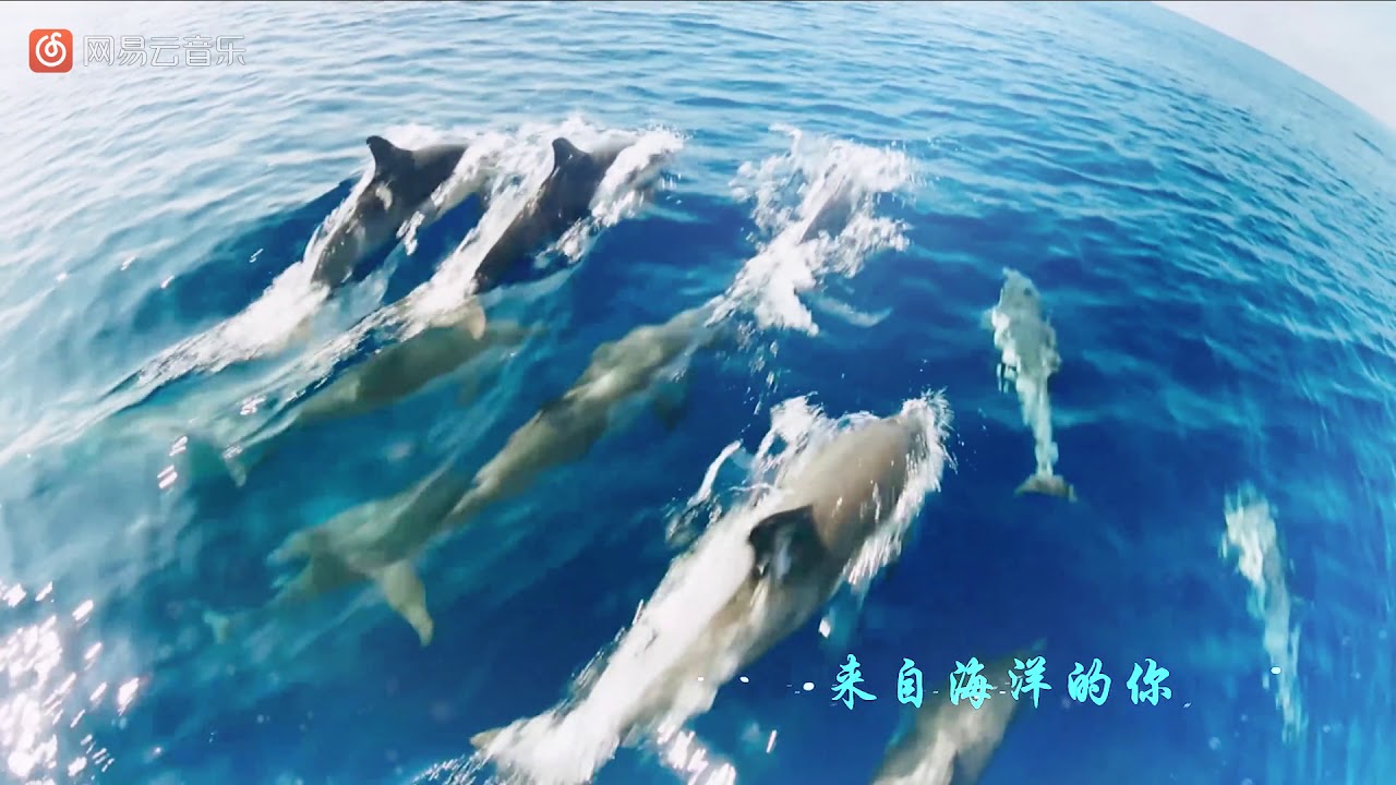 [FULL HD MV] 来自海洋的你 (My Love From The ocean) by LiHongyi & ZengYongzi