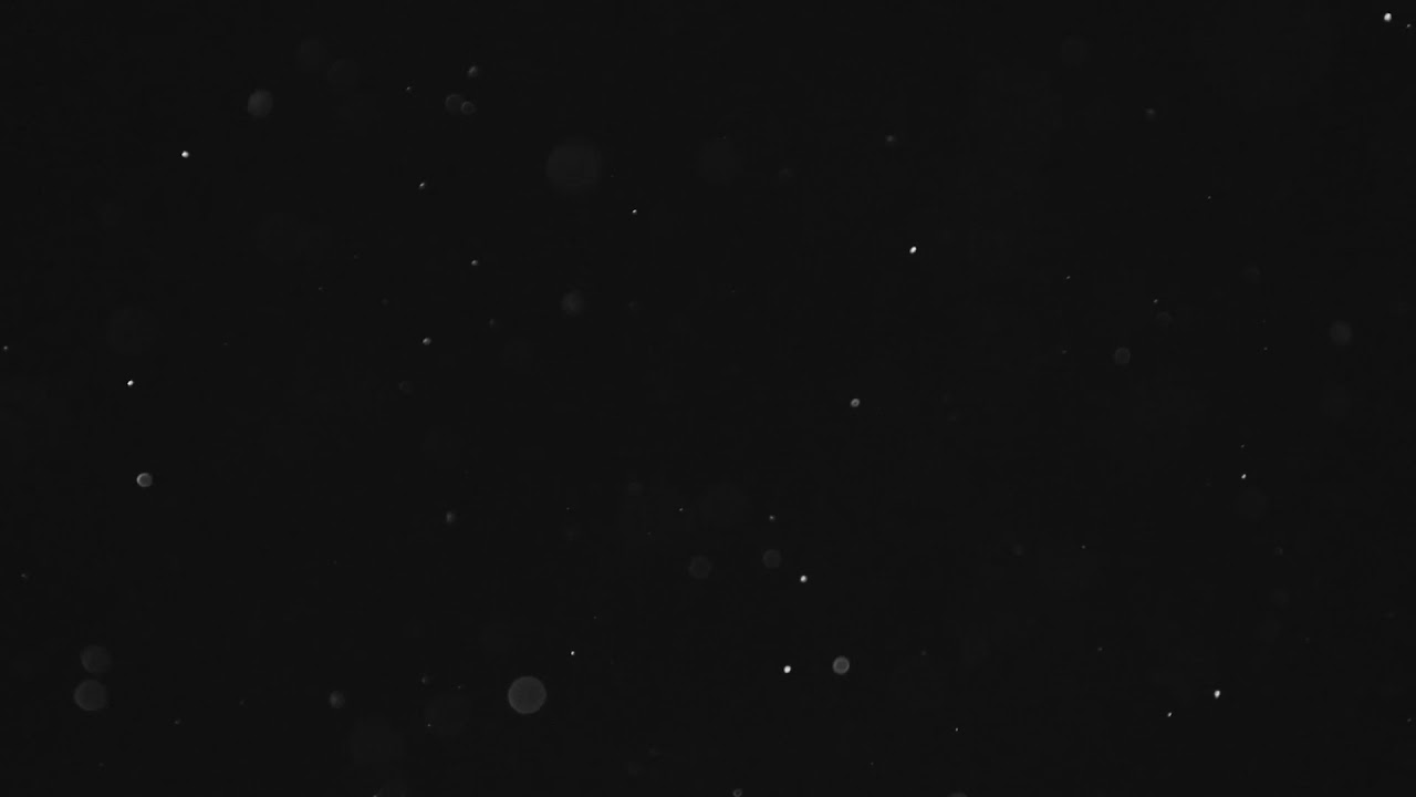 10 MINUTES HIGH QUALITY PARTICLES // Free download link