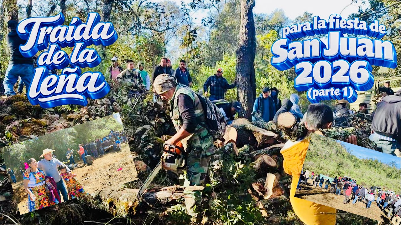 Traída de la leña para la fiesta del San Juan 2026 (parte 1)