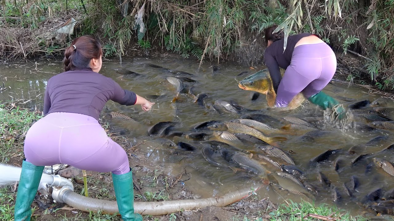 Amazing Fishing. Girl Fishing 🎣 A Big Surprise In The Abandoned Lakes, Catch Many Big Fish #Fishing