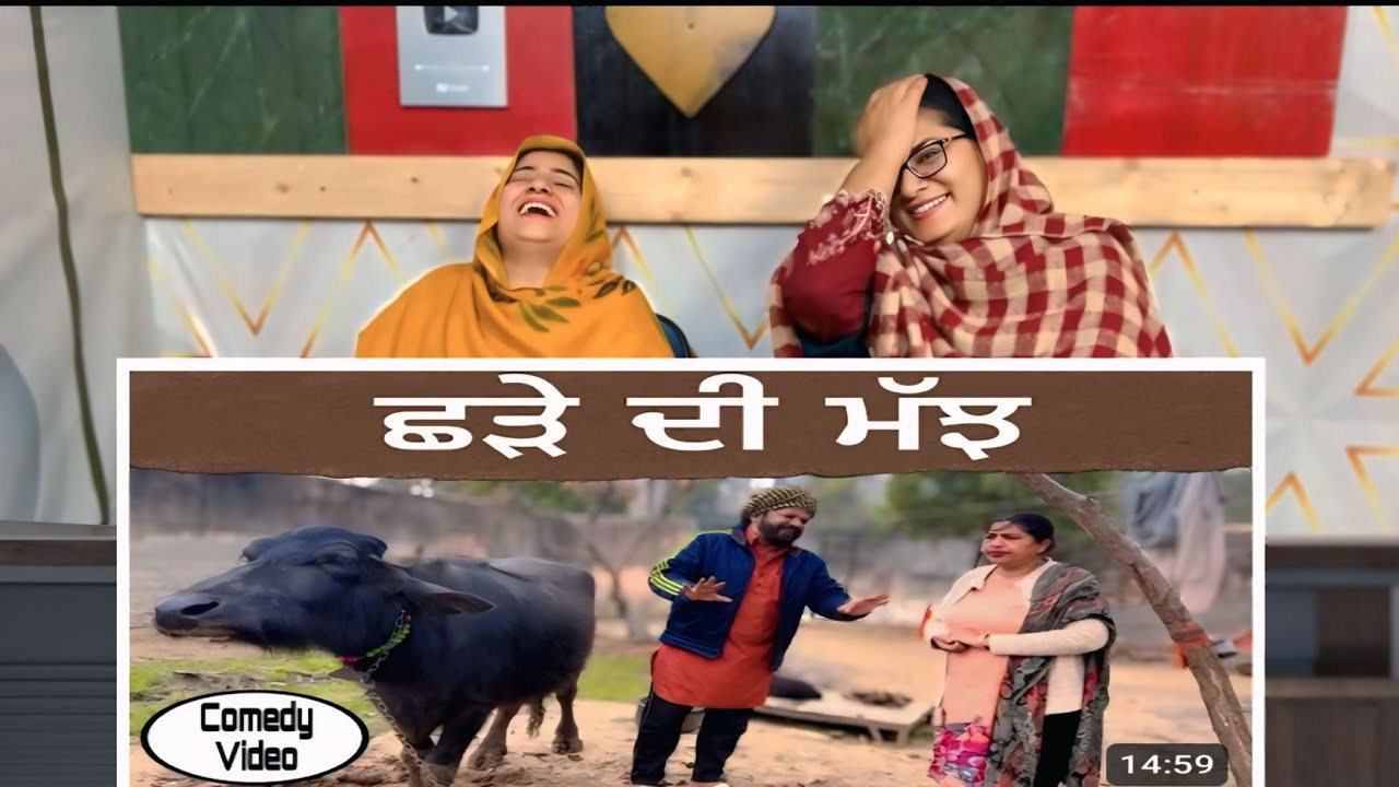 Chhade di majh … Punjabi comedy short movie || Punjabi Reaction