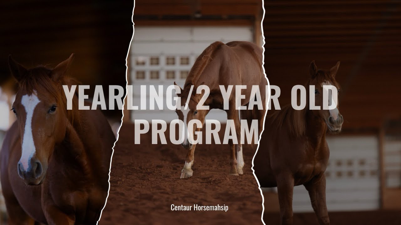 Yearling/2 year old program 