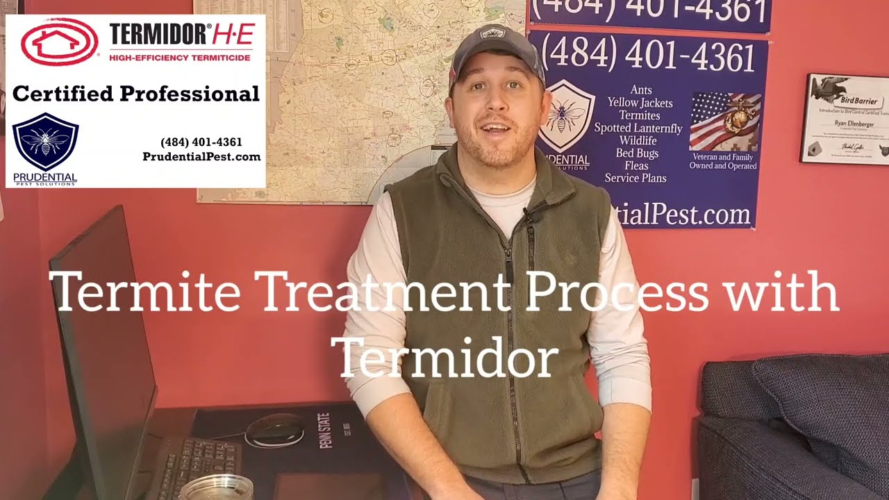 Termite Treatment Process using TERMIDOR