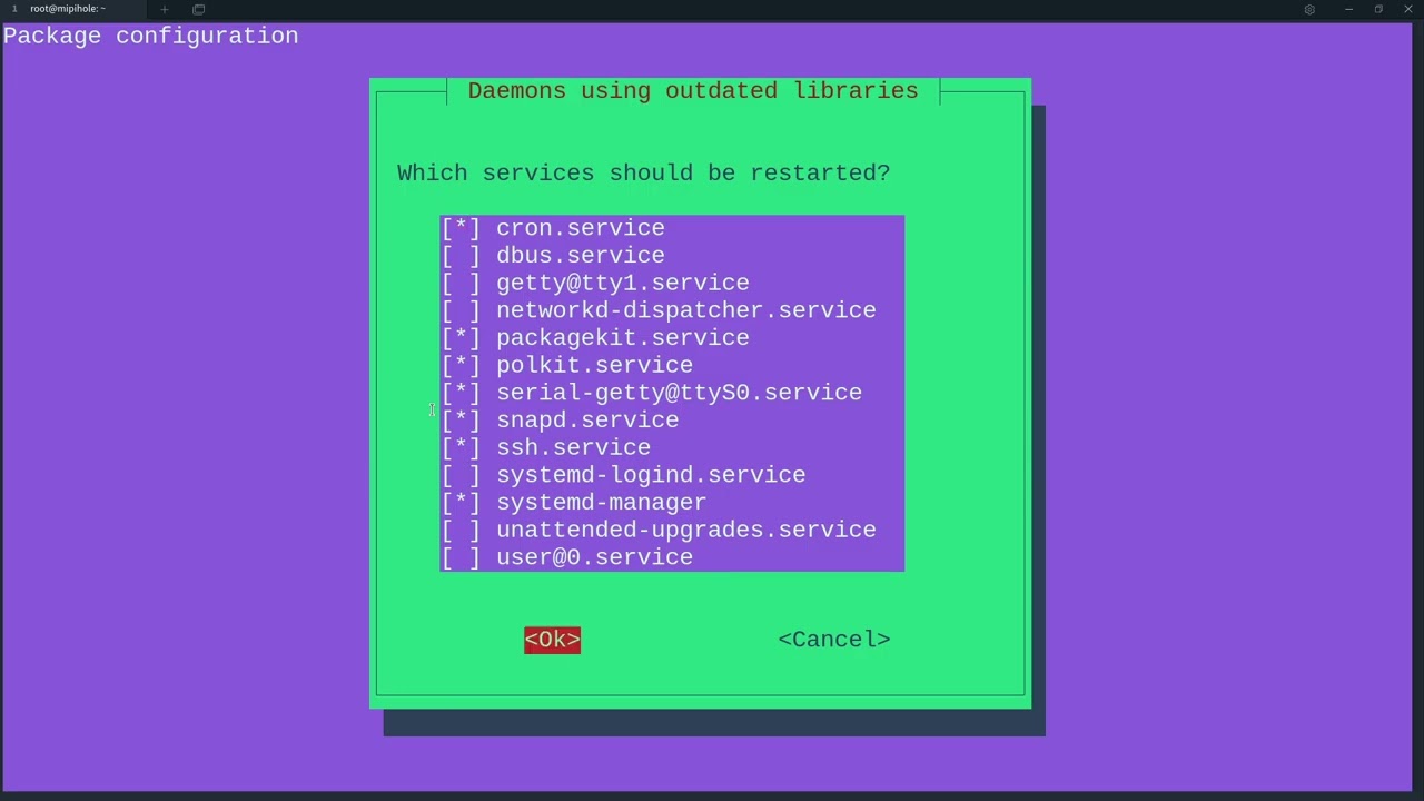 Tu propio servidor DNS con bloqueo de contenido (educativo) (PiHole no local)