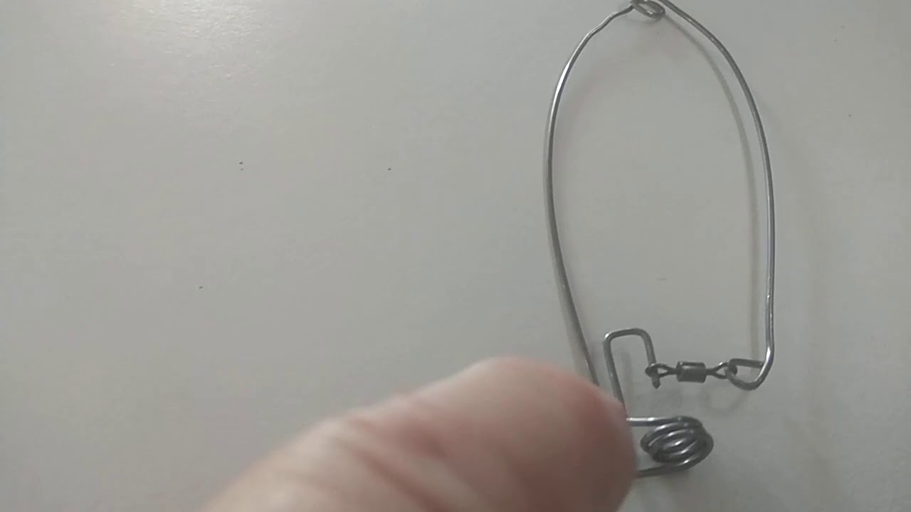 clavador automatico para peces