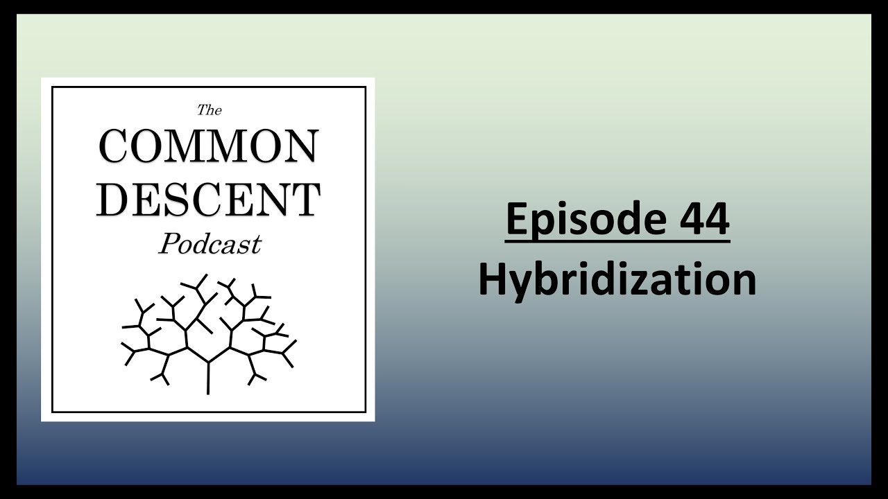 Episode 44 - Hybridization