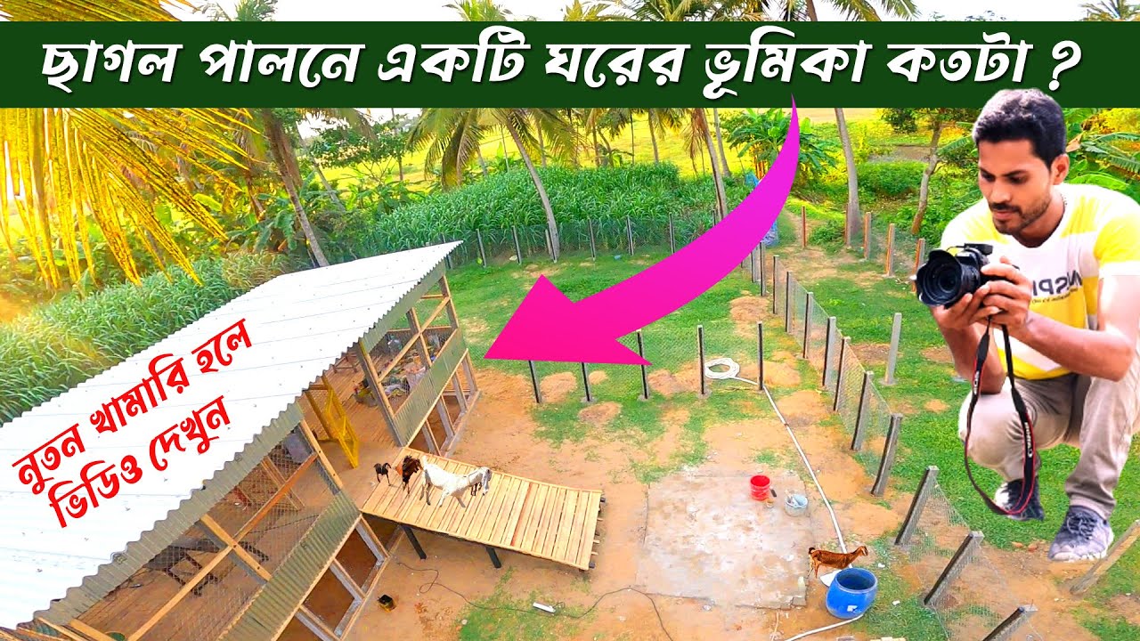 ছাগল পালনে একটি ঘর কতটা ভূমিকা পালন করে || How much role does a house play in raising goats?