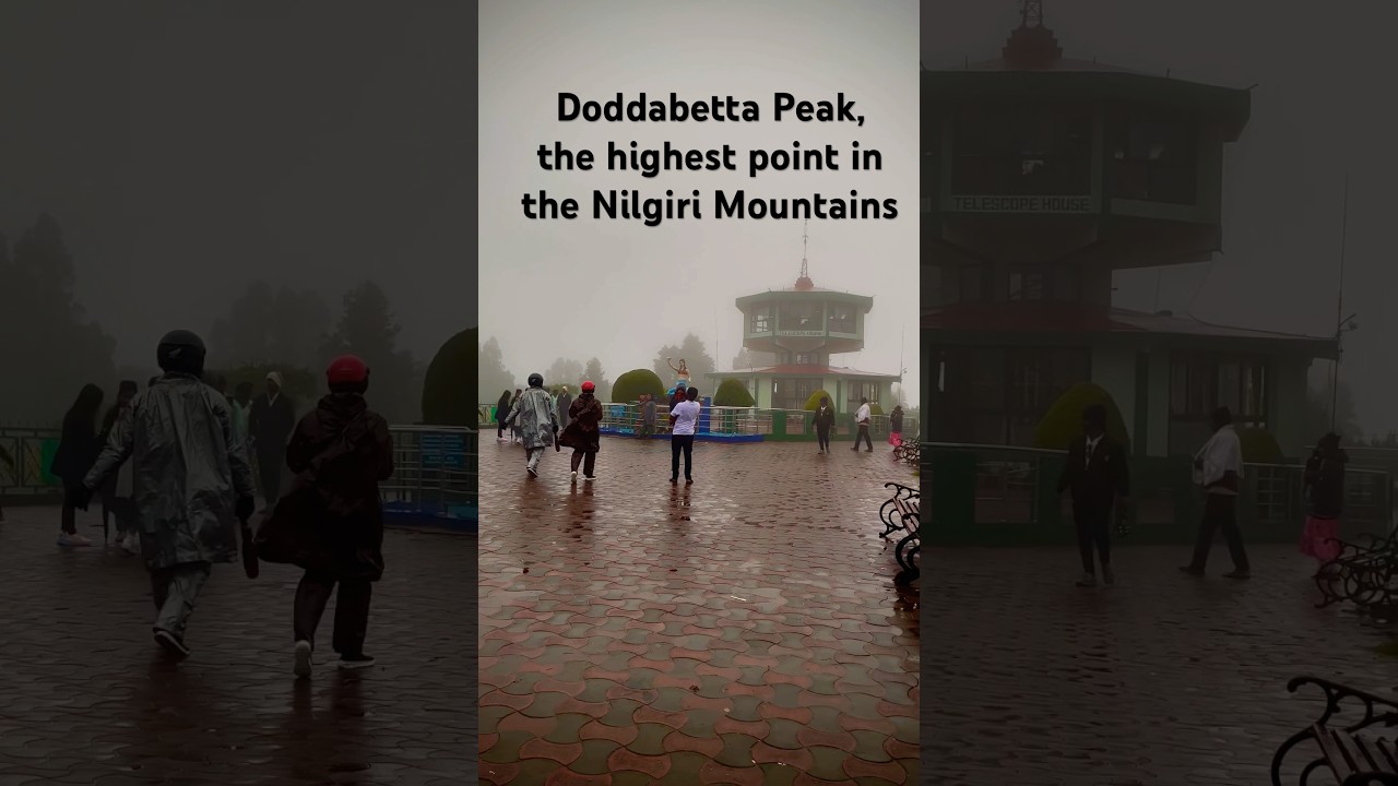 Doddabetta Peak, the highest point in the Nilgiri Mountains and in Tamil Nadu |