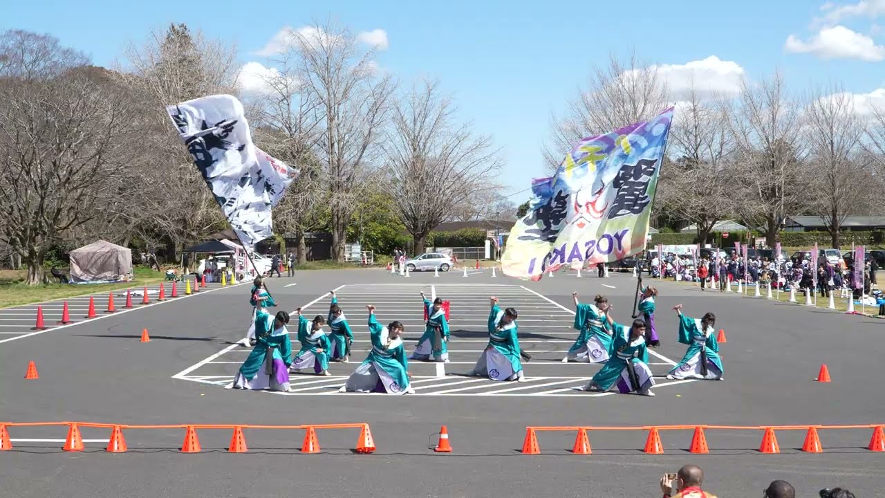 YOSAKOI八千代翼塾 / SAKURAよさこい奏蘭 / 2026-03-15
