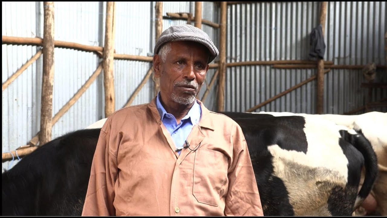 የከተማ ግብርና ለኑሮ ዉድነቱ መፍትሔ መሆኑ