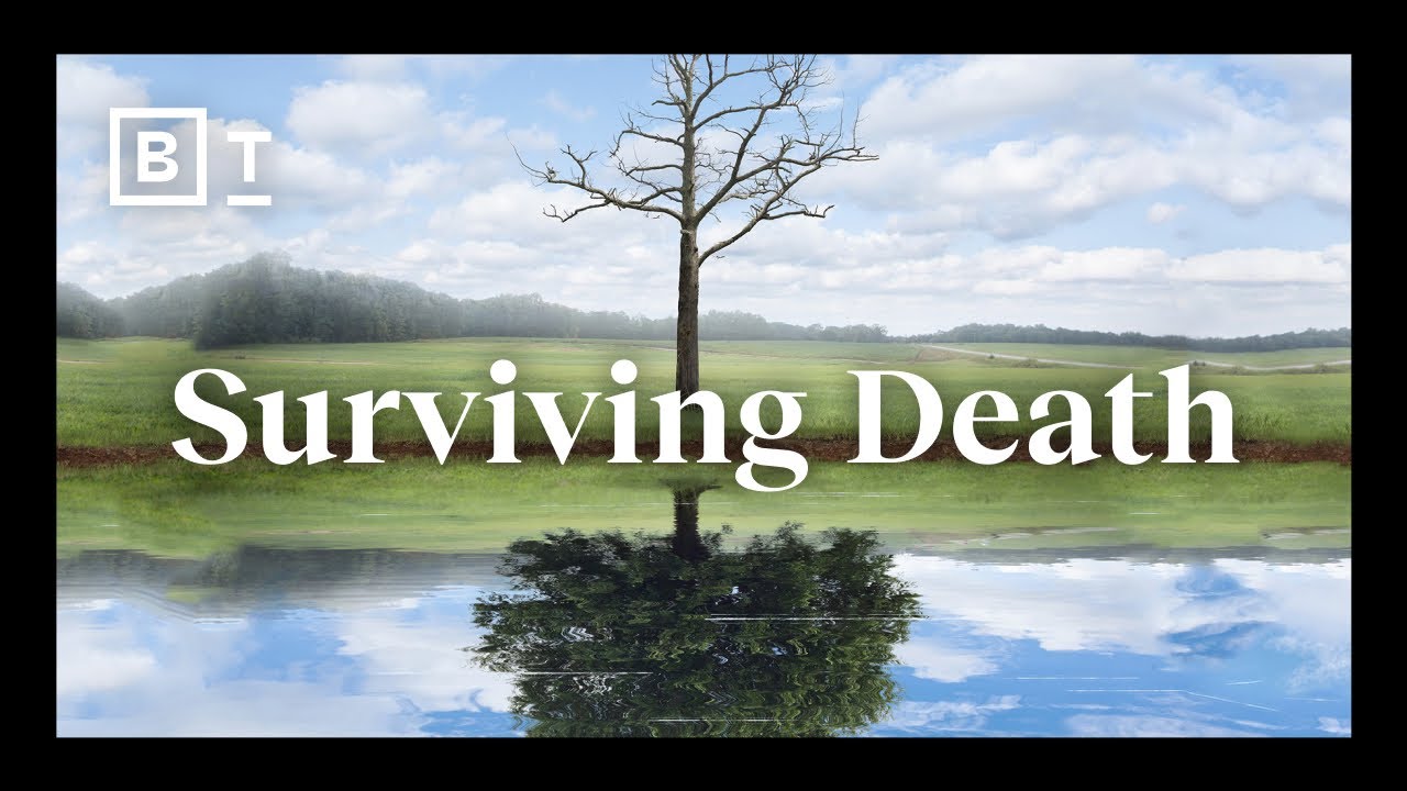 Near-death experiences kill the person that you used to be | Bruce Greyson
