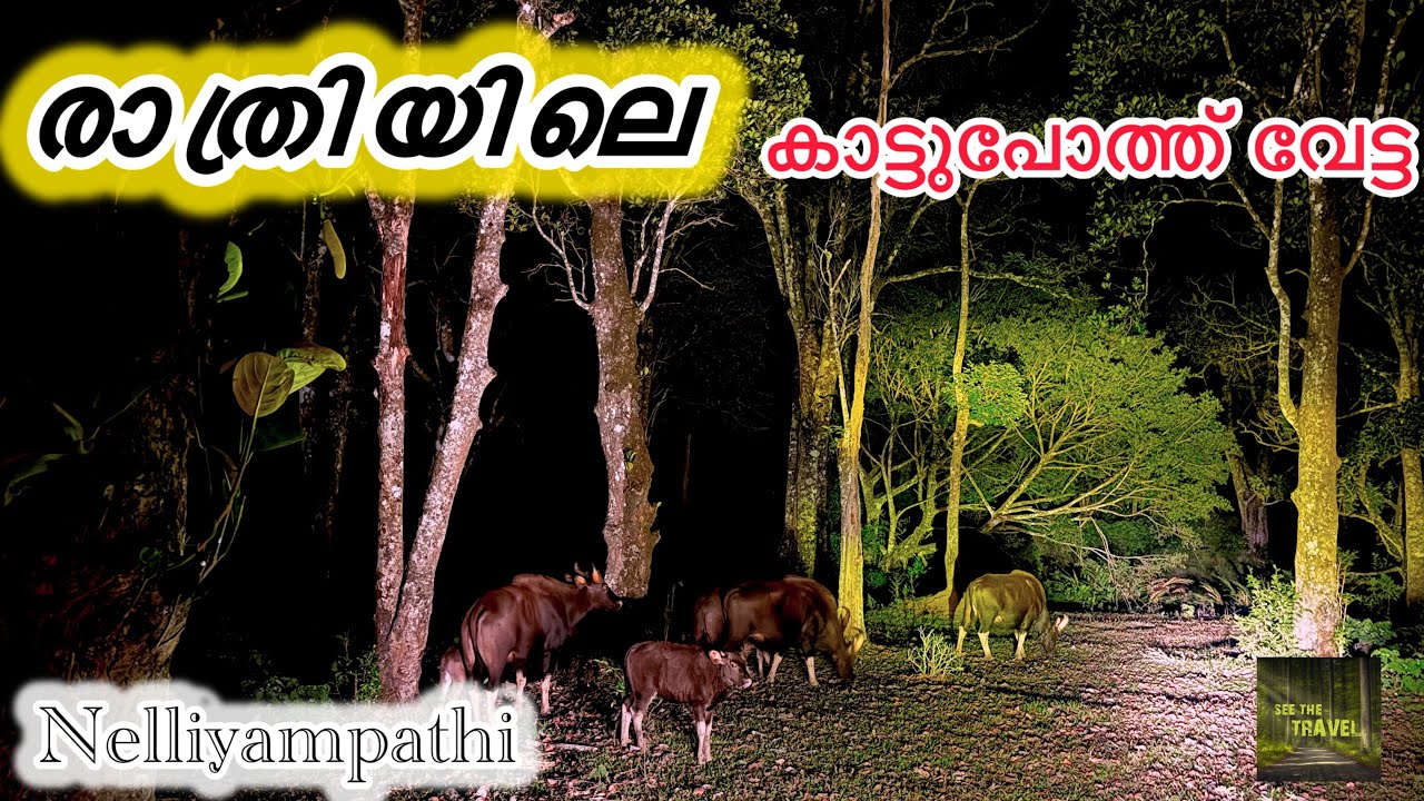 വന്യ മൃഗങ്ങൾ നിറഞ്ഞ മഞ്ഞിന്റെ താഴ്‌വര