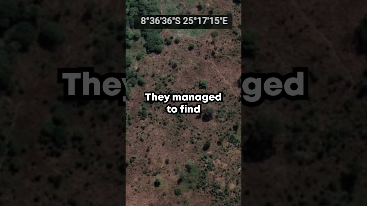 Огромные новости о фотографии конголезской змеи!! 