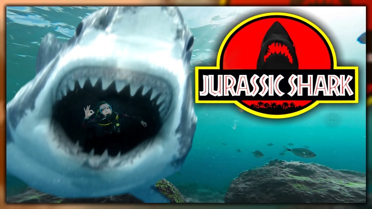 Jurassic Shark l Kshot