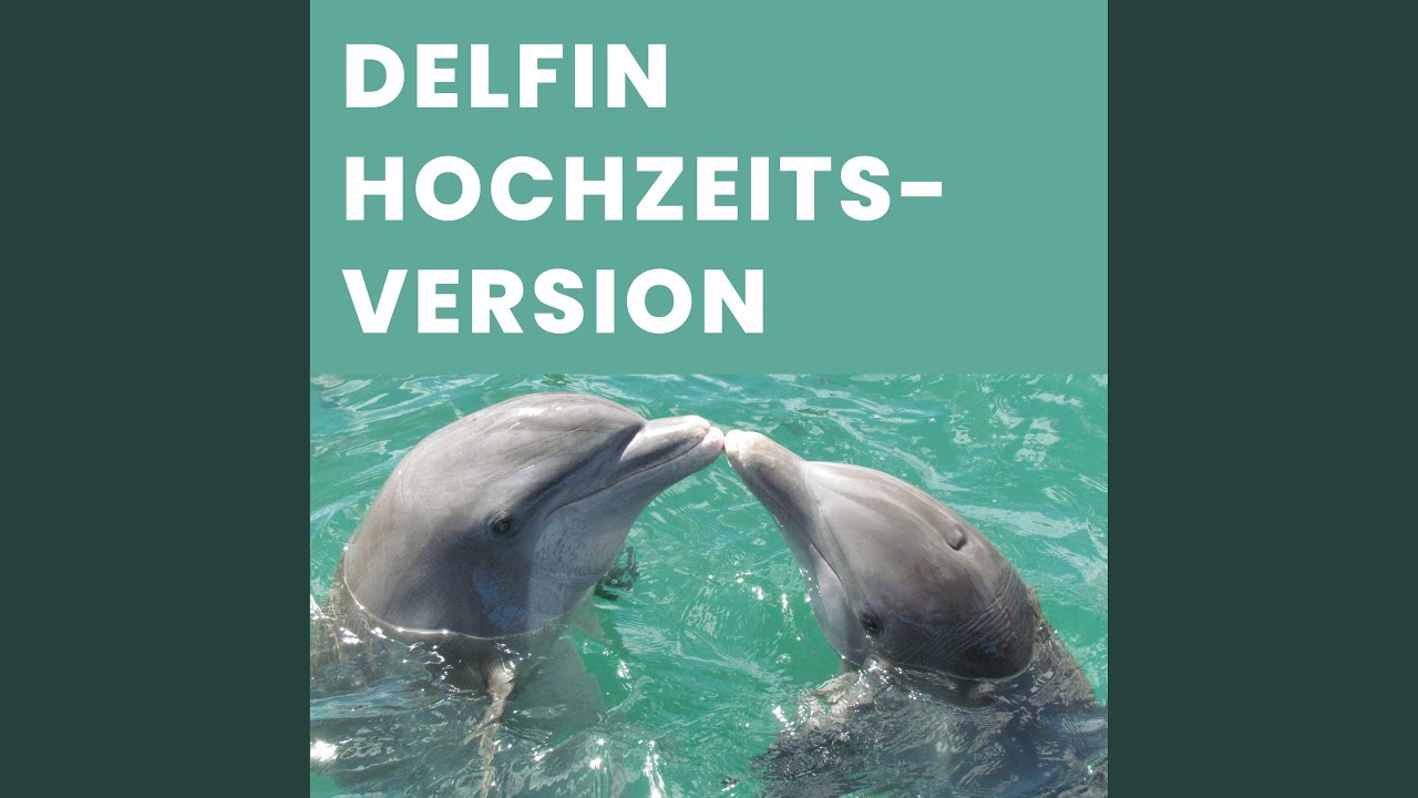 Delfin Hochzeitsversion