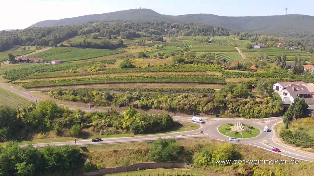 Weingut Rings Kallstadter Saumagen
