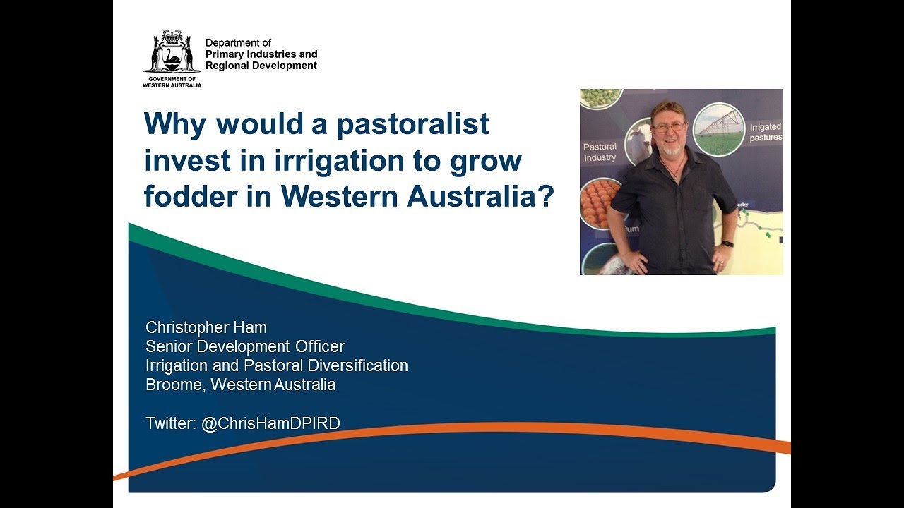 Why would a pastoralist invest in Irrigation?
