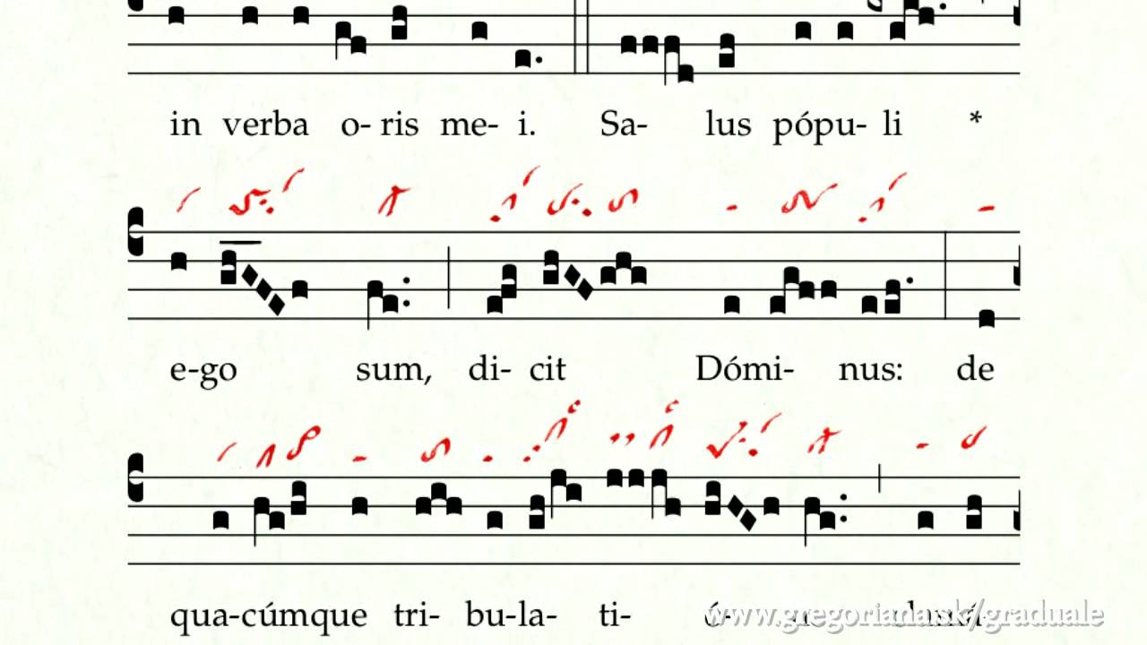 Introitus: Salus populi
