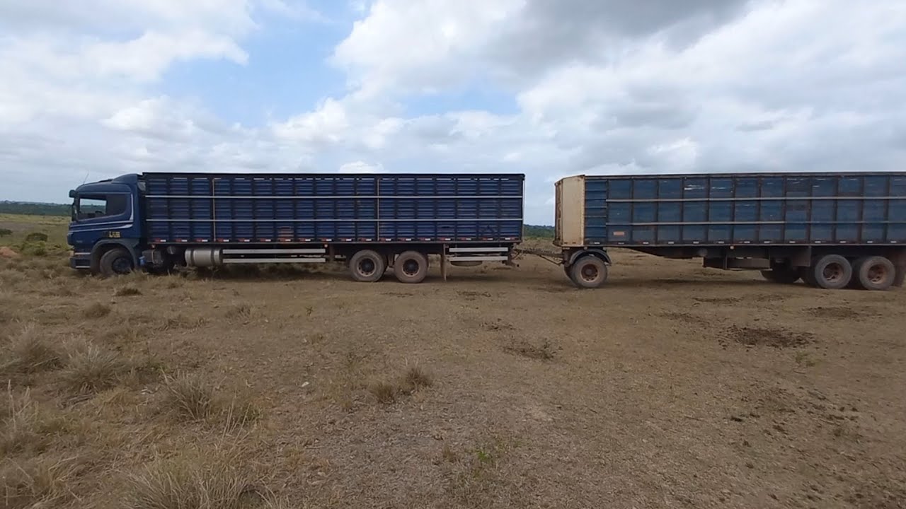 Embarque de vacas gorda pro frigorífico de Marabá 