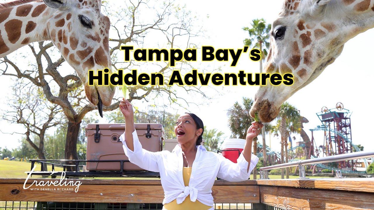 Discover Tampa Bay: Thrills, Culture & Cuisine You’ll Love!