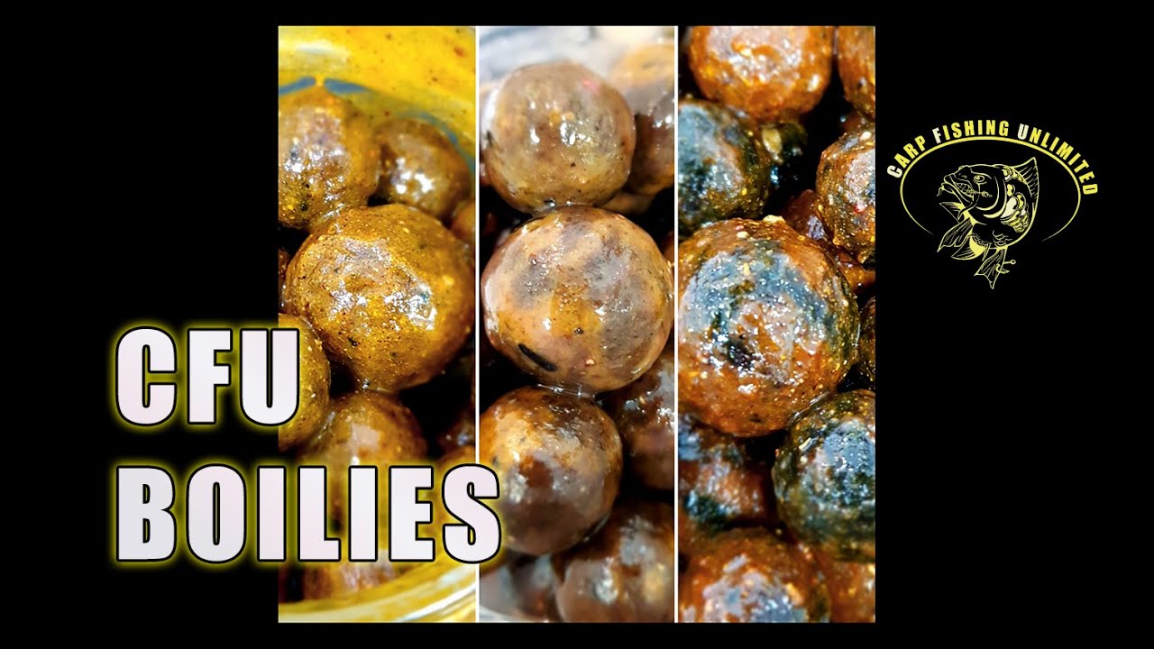 CFU Boilies Evolution (PakoBG CARPFISHING)