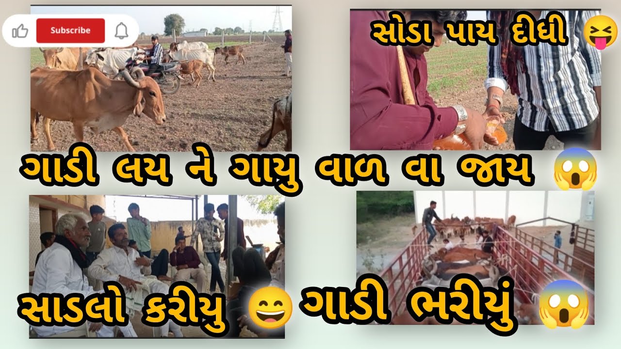 ગાડી લય ને ગાયો વાળવા જાય 😱 સાઈબી 😄#viralvideo #abhibharwadvlog #cowvlog #deshivlog 