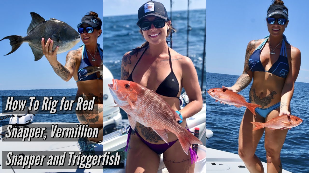 HOW to CATCH RED SNAPPER, TRIGGERFISH, VERMILLION SNAPPER and WHITE SNAPPER