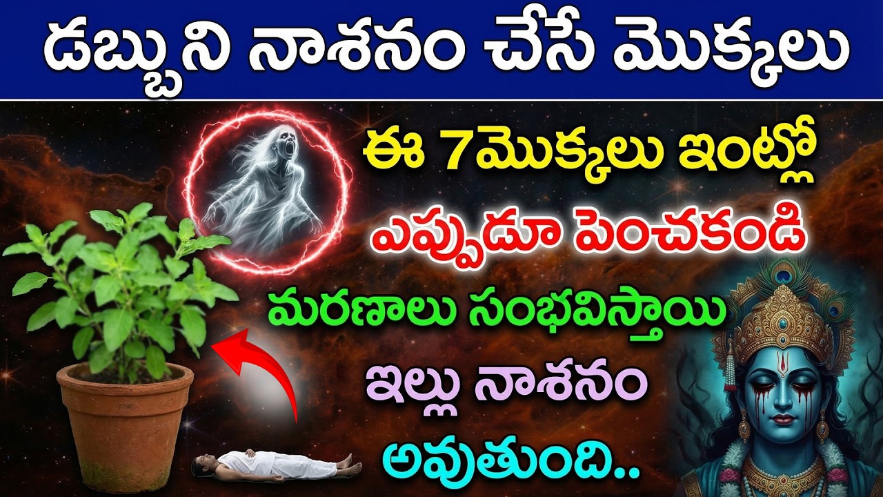 డబ్బుని నాశనం చేసే మొక్కలు ఈ 7మొక్కలు ఇంట్లో ఎప్పుడూ పెంచకండి లేదంటే మరణాలు సంభవిస్తాయి