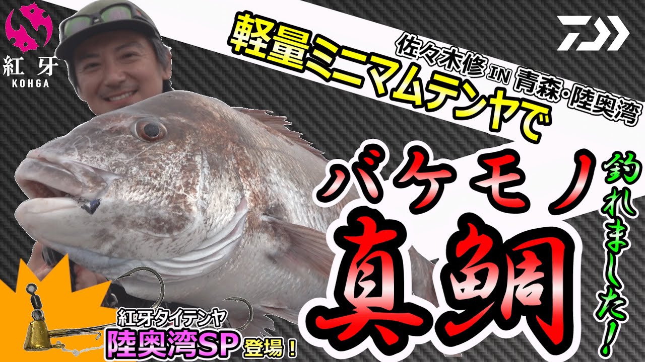 軽量ミニマムテンヤでバケモノ真鯛釣れました！｜船最前線