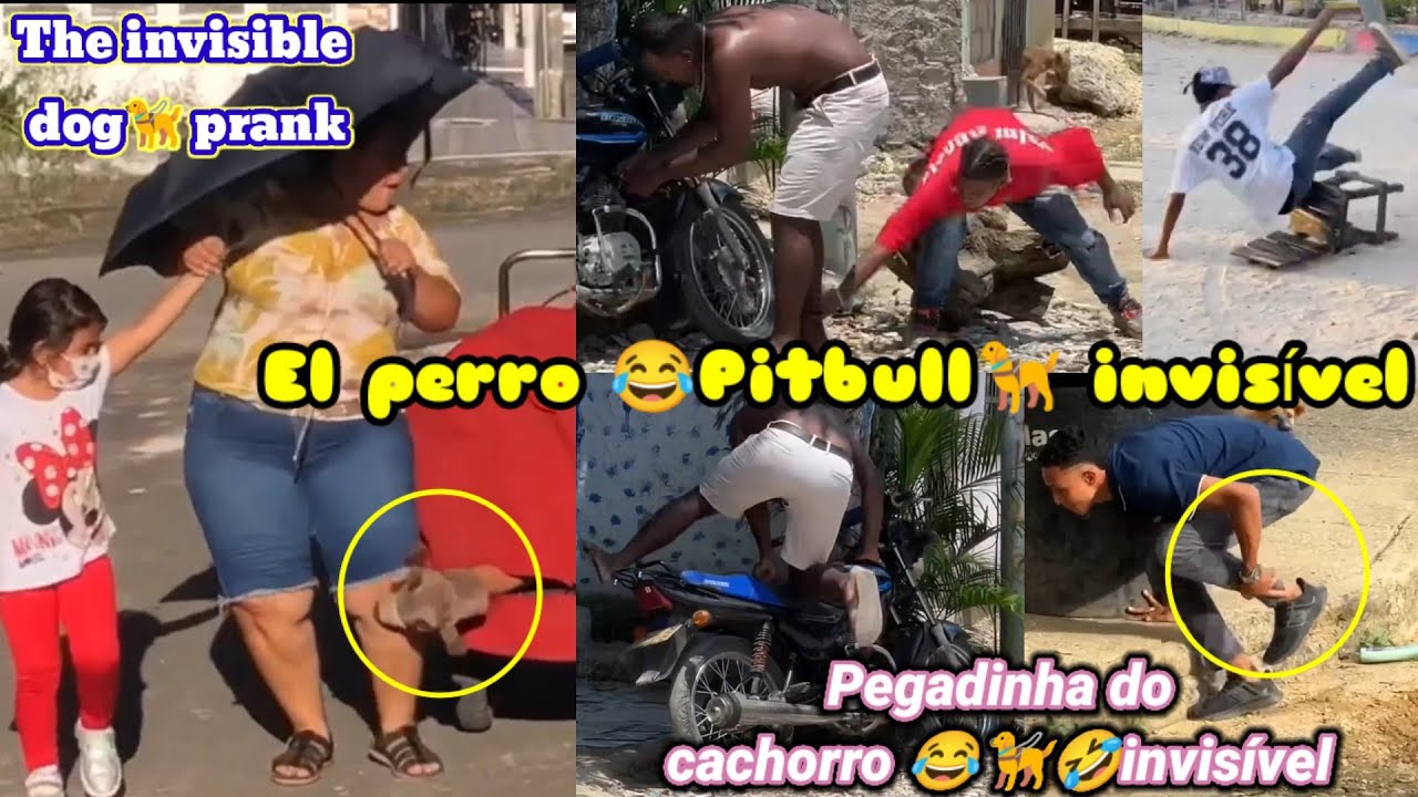 Broma del perro invisble  / Pegadinha do cachorro invisvel / Fake dog prank