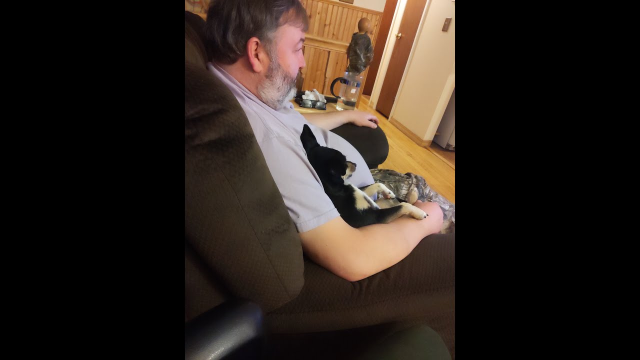 Conversation with a Polish dad