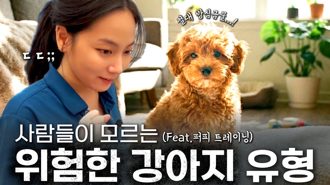 똑똑한 강아지일수록 위험해질 수 있다? 5개월미만 강아지 필수교육 퍼피클래스!
