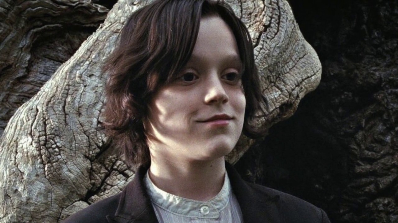 Harry Potter Don't you worry child
