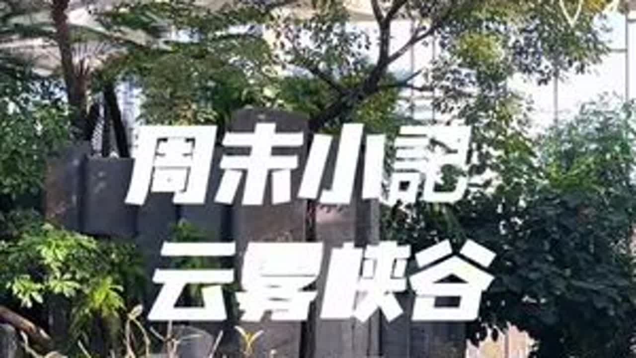 打卡上海温室花园2，云雾峡谷。#上海温室花园 #上海世博文化公园 #温室花园 #温室 #这个城市的魅力