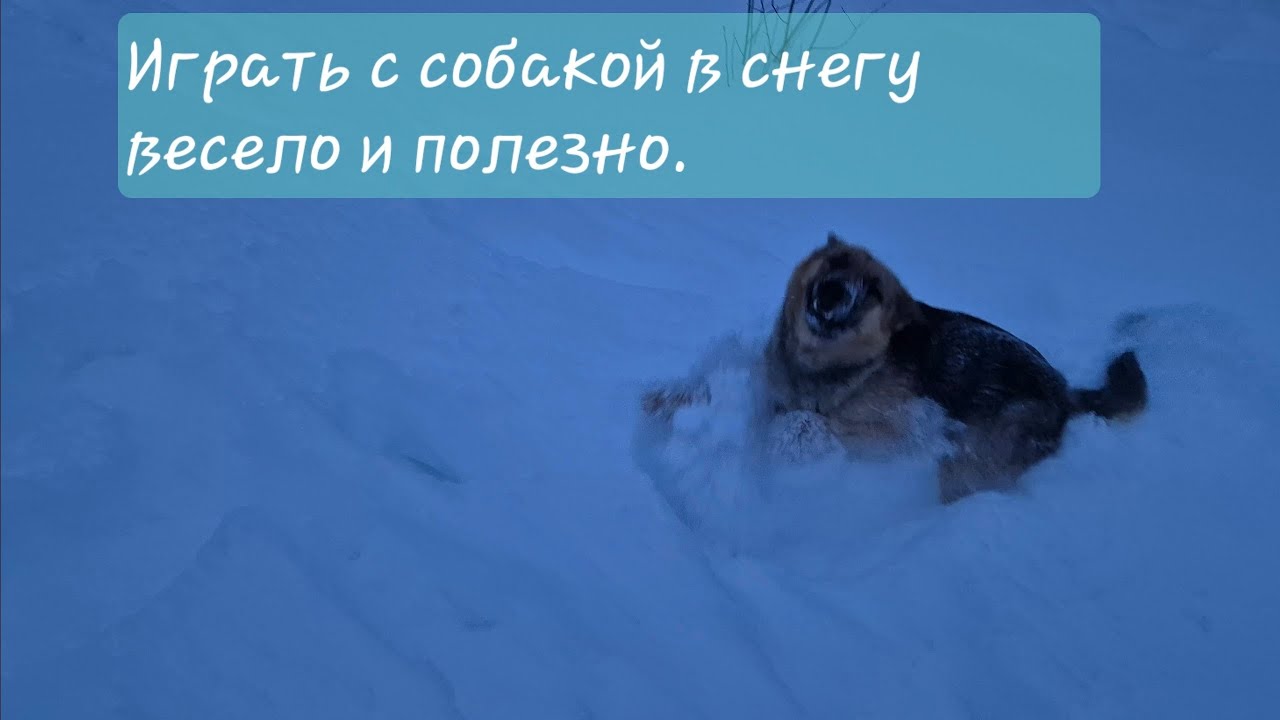 Играть в снегу весело и полезно.