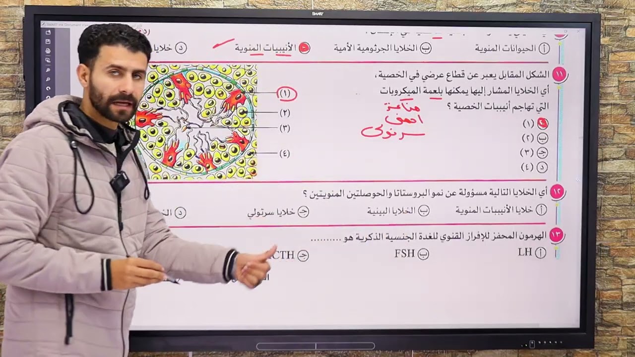 حل التكاثر في الانسان الجهاز التناسلي للذكر من كتاب #التفوق (الدرس الرابع) مع د/نادر صقر ♥️🦅💪