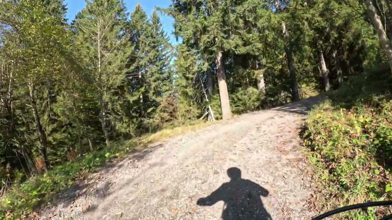 Diedamskopf Auffahrt - Bregenzerwald