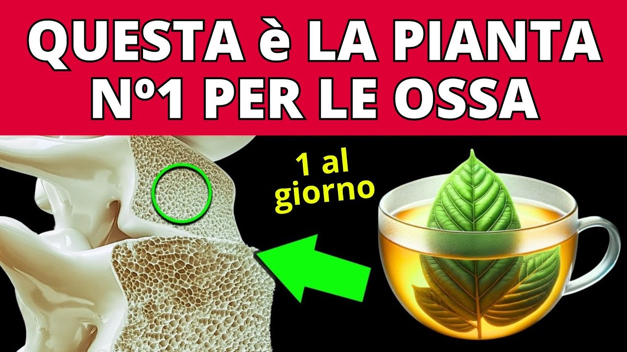 Pianta n.1 che MIGLIORA le TUE OSSA (e come prenderla)